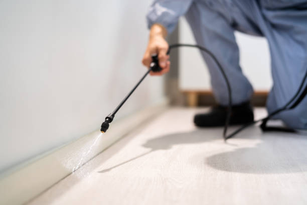 Licensed Pest Control service in Collinsville, AL - Show Me Pest Control